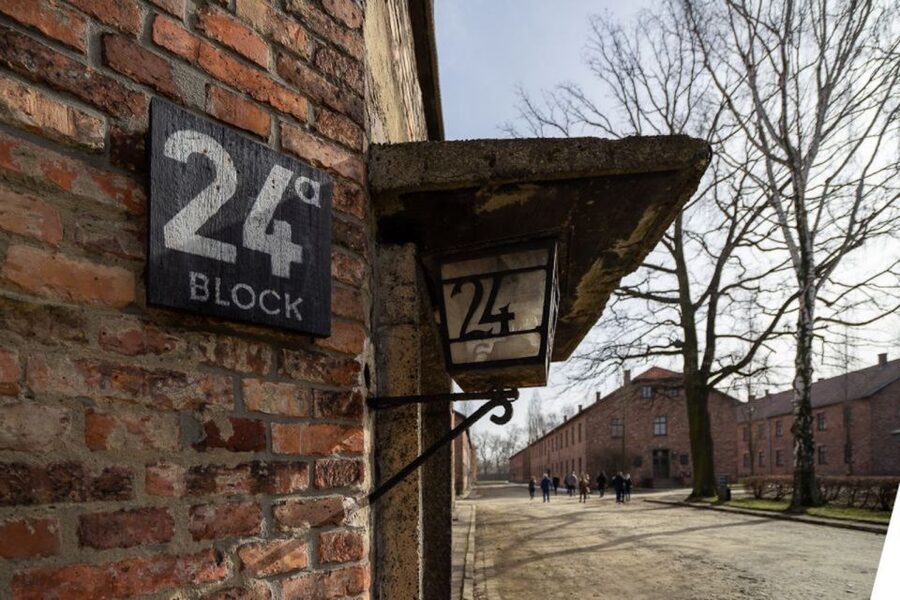 From Krakow: Auschwitz-Birkenau Full-Day Tour - Birkenau: scale, silence, and open space
