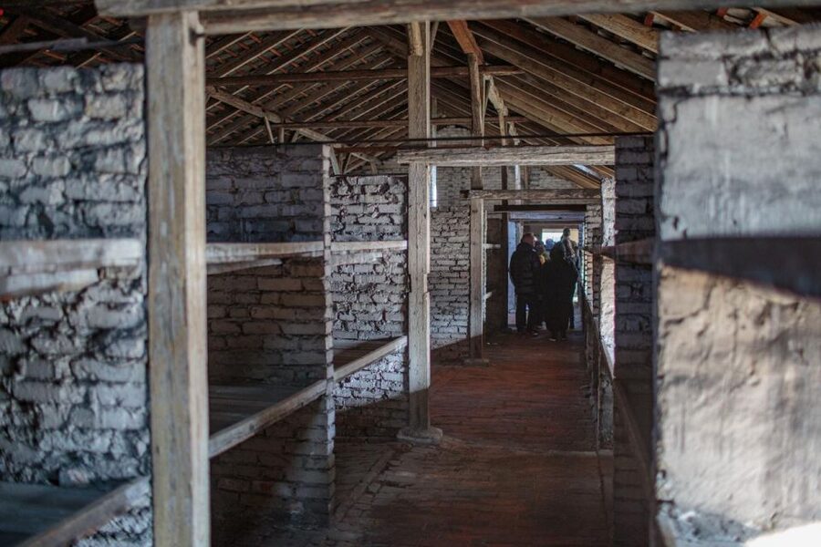 From Krakow: Auschwitz-Birkenau Guided Full-Day Tour - Birkenau: scale, railway ramp, and surviving ruins
