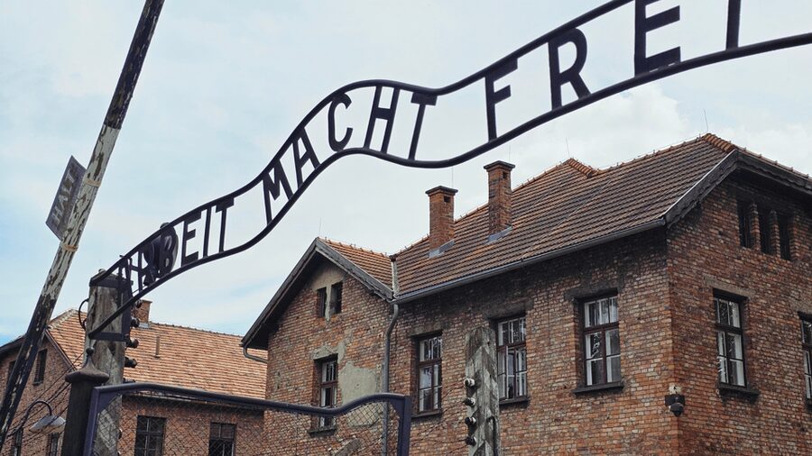 From Krakow: Auschwitz-Birkenau Guided Tour Guaranteed Time - Key points to know before booking