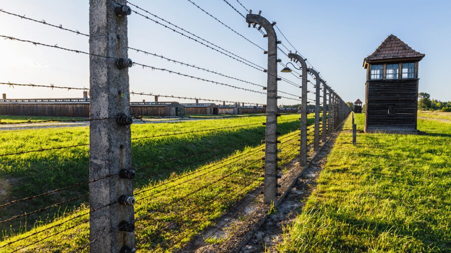 From Krakow: Auschwitz-Birkenau Guided Tour Guaranteed Time - Why a guided Auschwitz visit matters
