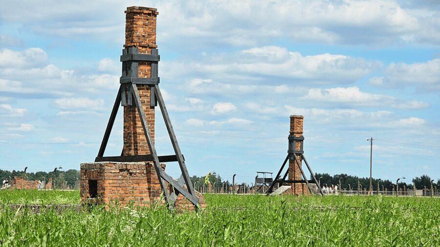 From Krakow: Auschwitz-Birkenau Guided Tour Guaranteed Time - The short break and move to Birkenau