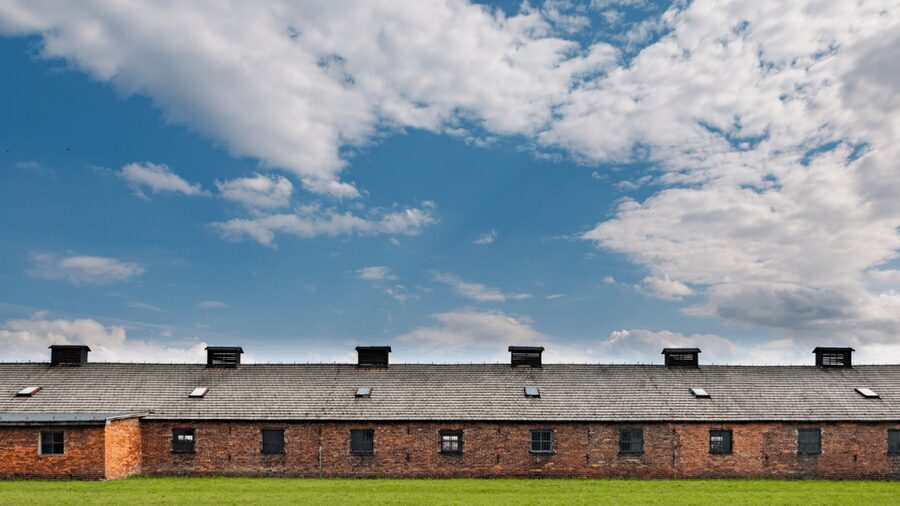 From Krakow: Auschwitz-Birkenau Guided Tour Guaranteed Time - The guide and the emotional weight of the visit