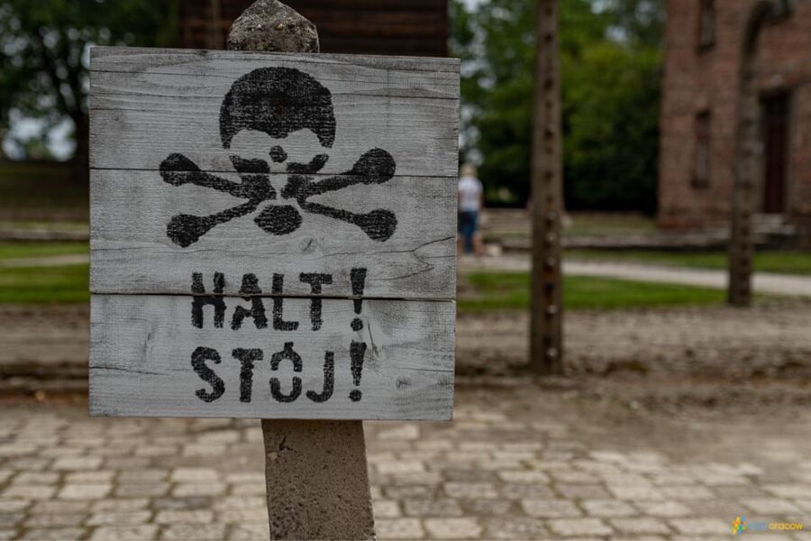 From Krakow: Auschwitz-Birkenau Guided Tour Guaranteed Time - What to wear and carry