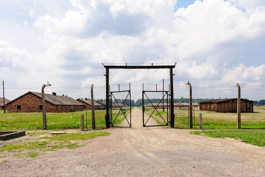 From Krakow: Auschwitz-Birkenau Guided Tour & Hotel Pickup - How the guides affect the visit