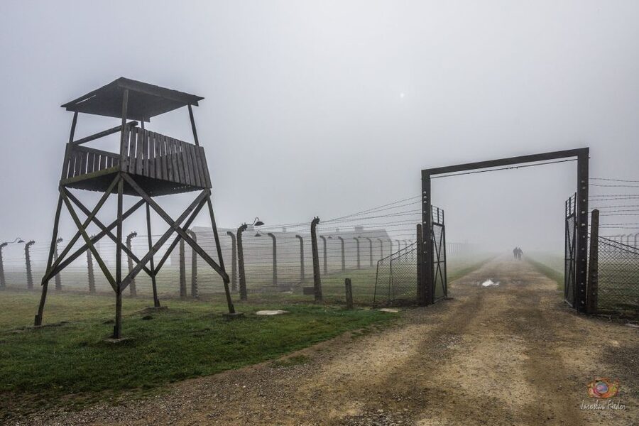 From Krakow: Auschwitz-Birkenau Guided Tour & Pickup - Group size and the feel of the day