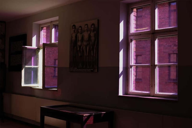 From Krakow: Auschwitz-Birkenau Guided Tour & Pickup Options - Why this Auschwitz trip matters