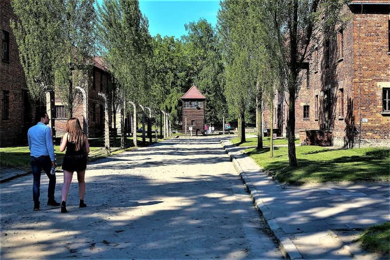 From Krakow: Auschwitz-Birkenau Guided Tour & Pickup Options - Who will get the most from this tour?