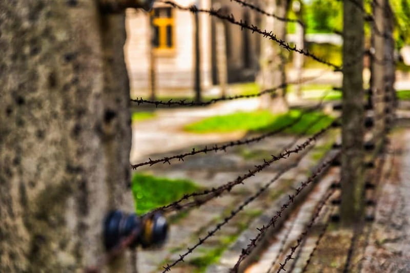 From Krakow: Auschwitz-Birkenau Guided Tour & Transport - Who should book this experience?