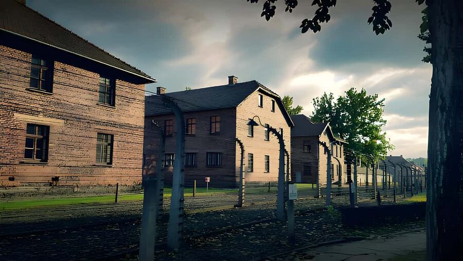 From Krakow: Auschwitz & Birkenau Guided Tour with Pick up - What the guided format adds