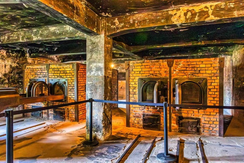 From Krakow: Auschwitz-Birkenau Guided Tour with Transport - The $53 price and what you receive