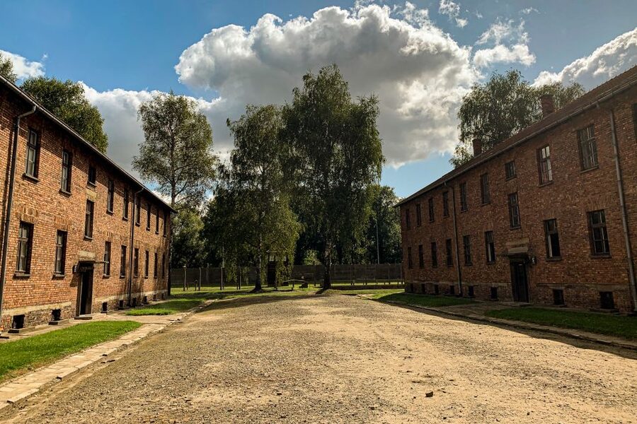 From Krakow: Auschwitz-Birkenau Memorial and Museum Tour - Why the Auschwitz visit needs a full day