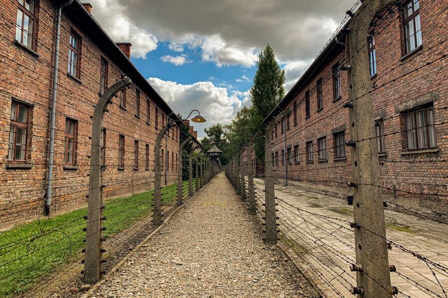 From Krakow: Auschwitz-Birkenau Memorial and Museum Tour - Birkenau and the scale of mass murder