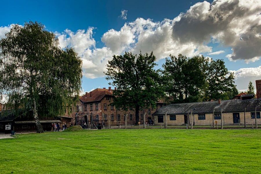 From Krakow: Auschwitz-Birkenau Memorial and Museum Tour - The documentary film and the story of liberation