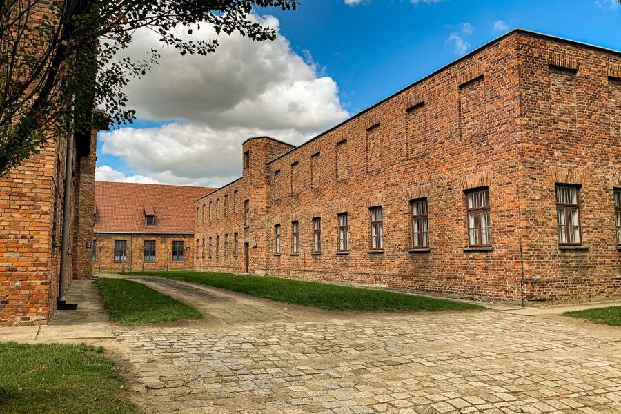 From Krakow: Auschwitz-Birkenau Memorial and Museum Tour - What the guides add to the experience