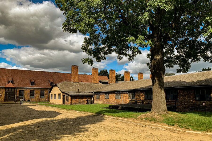 From Krakow: Auschwitz-Birkenau Memorial and Museum Tour - Walking, weather, food, and bags