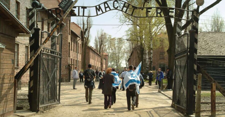From Krakow: Auschwitz-Birkenau Memorial and Museum Tour - Who should book this tour