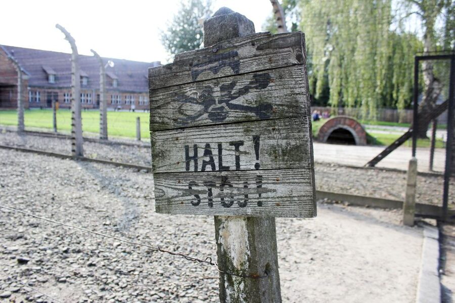 From Kraków: Auschwitz-Birkenau Memorial Guided Tour - Why this day trip matters
