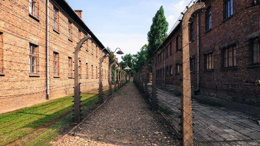 From Krakow: Auschwitz-Birkenau Memorial Private Tour - Why the private vehicle is worth considering