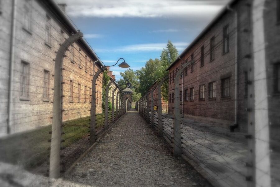 From Krakow: Auschwitz-Birkenau Private or Shared Tour - Walking through Auschwitz II-Birkenau