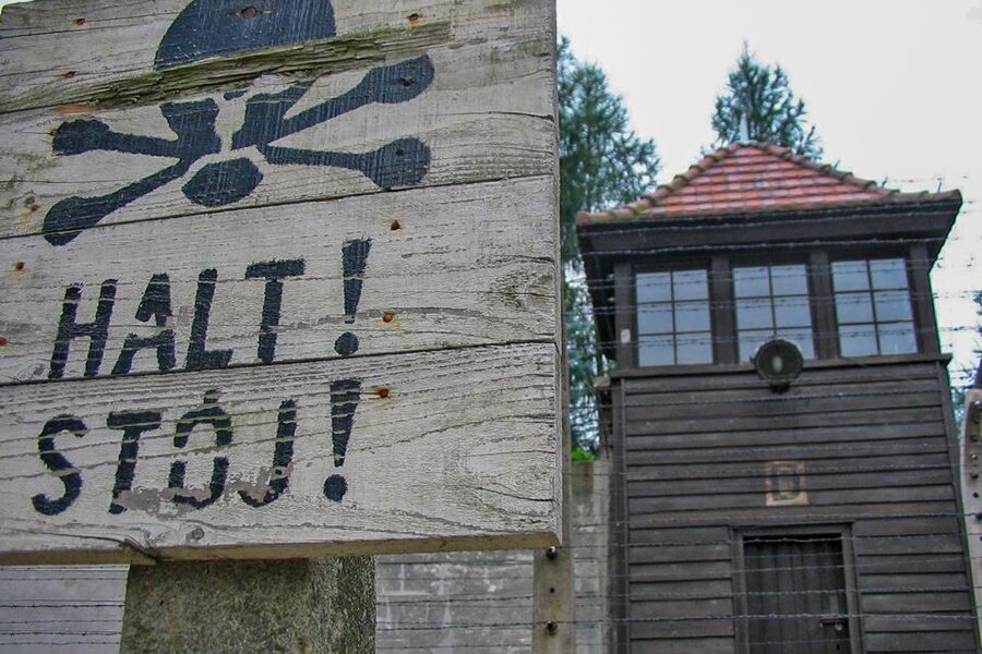 From Krakow: Auschwitz-Birkenau Private or Shared Tour - Private option versus shared option