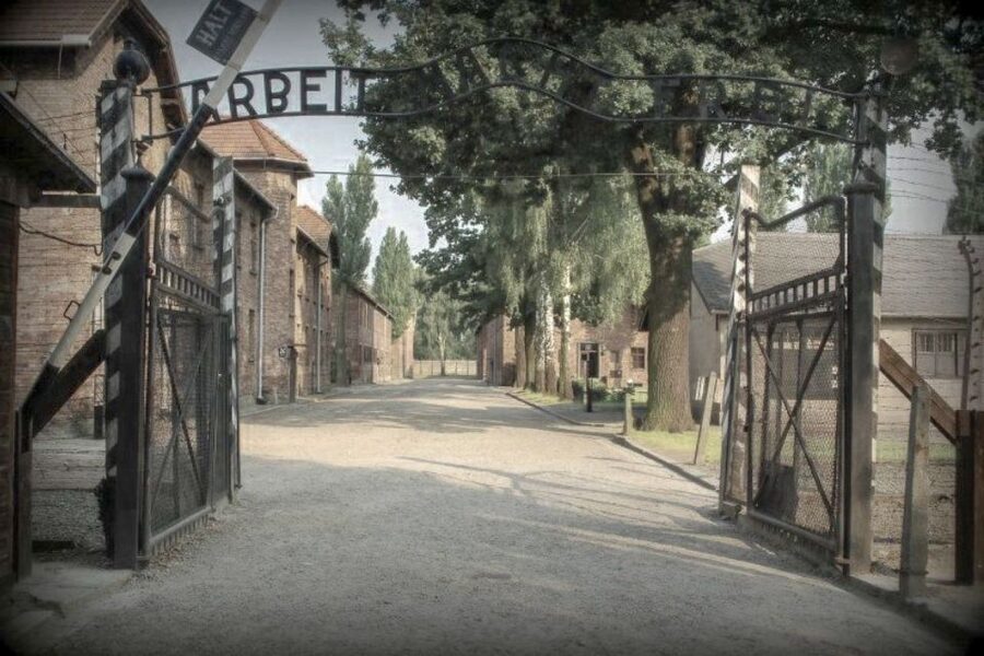 From Krakow: Auschwitz-Birkenau Private or Shared Tour - Who should book this experience?