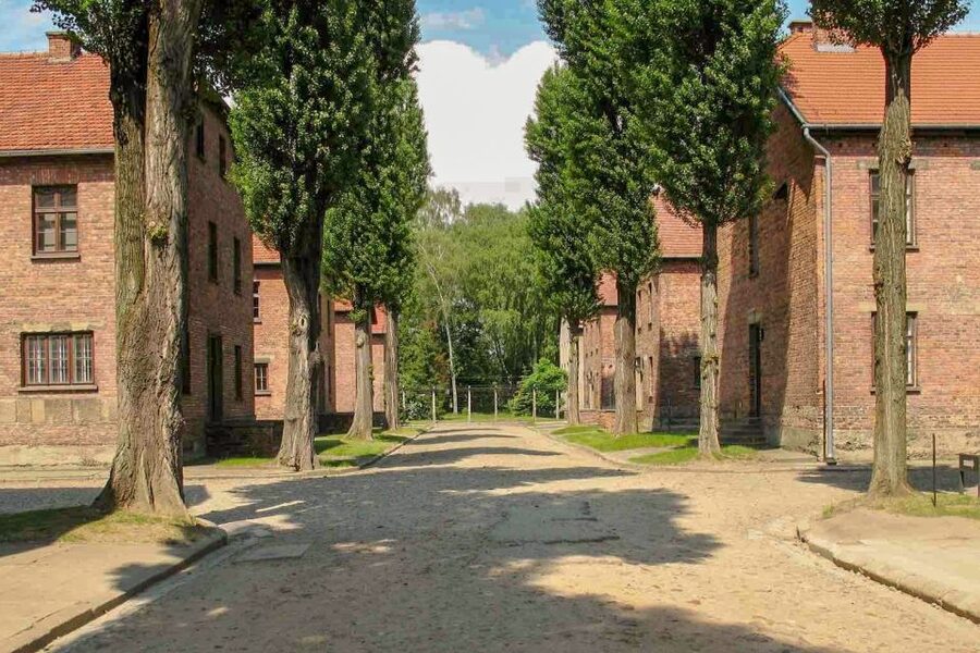 From Krakow: Auschwitz-Birkenau & Schindler's Factory Tour - Who should book this day trip?