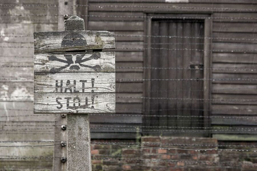 From Krakow: Auschwitz-Birkenau & Schindler's Factory Tour - Early pickup and the 75-minute ride from Krakow