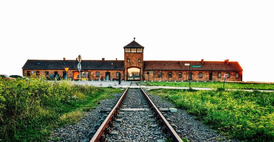 From Krakow: Auschwitz-Birkenau & Schindler's Factory Tour - Birkenau: scale, distance, and exposure
