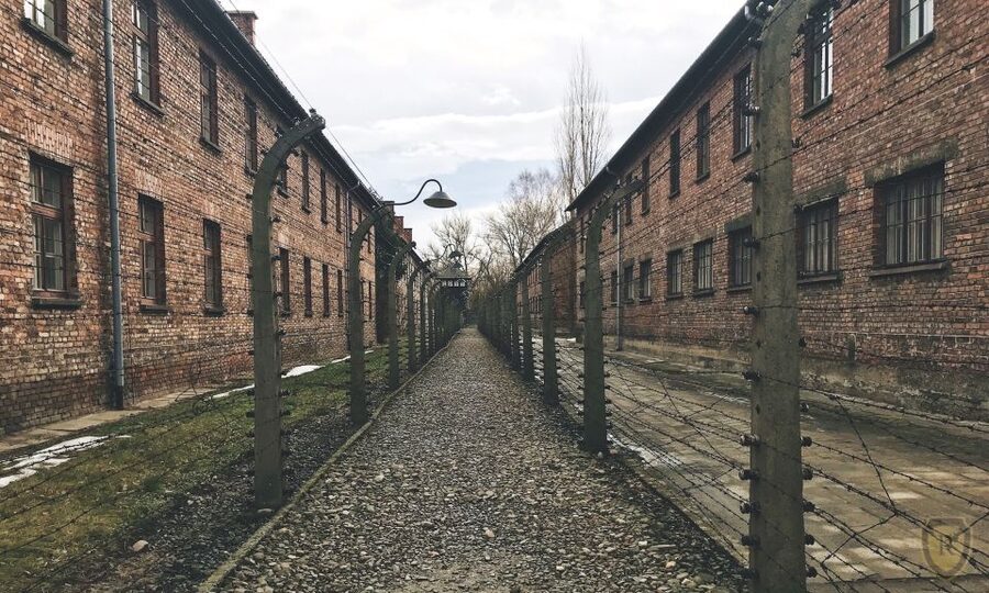 From Krakow: Auschwitz Birkenau Self-Guided Tour - The café break and first arrival