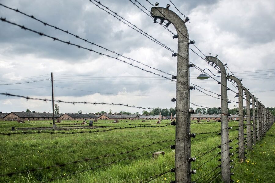 From Krakow: Auschwitz Birkenau Self-Guided Tour - How much value do you get for $21?