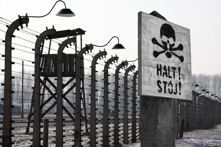 From Krakow: Auschwitz-Birkenau Tour - What the $81 price includes