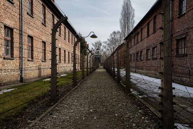 From Kraków: Auschwitz-Birkenau Tour with Lunch Box and Pick Up - The guide is the heart of the day