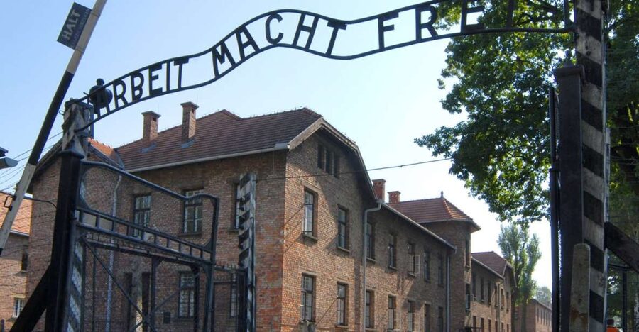 From Krakow: Auschwitz-Birkenau Tour - Auschwitz II-Birkenau: scale, railway platform, and ruins