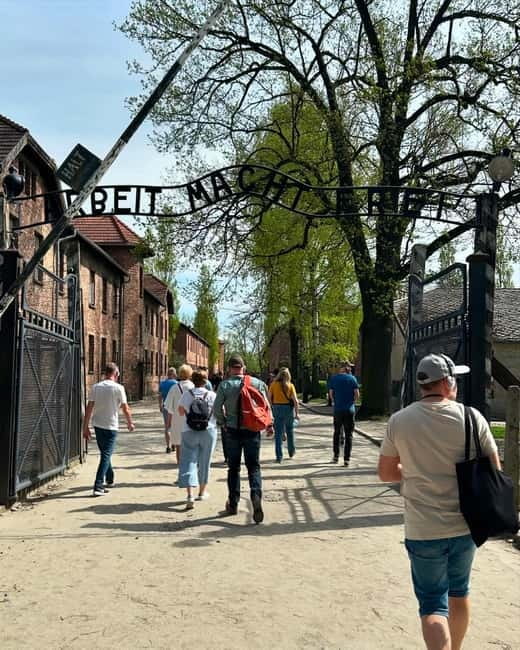 From Krakow: Auschwitz-Birkenau & Wieliczka Salt Mine Tour - Key points to know before booking