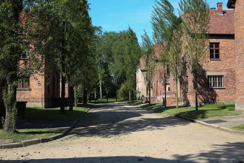 From Krakow: Auschwitz Museum and Wieliczka Salt Mine Tour - Is $335 per person fair?