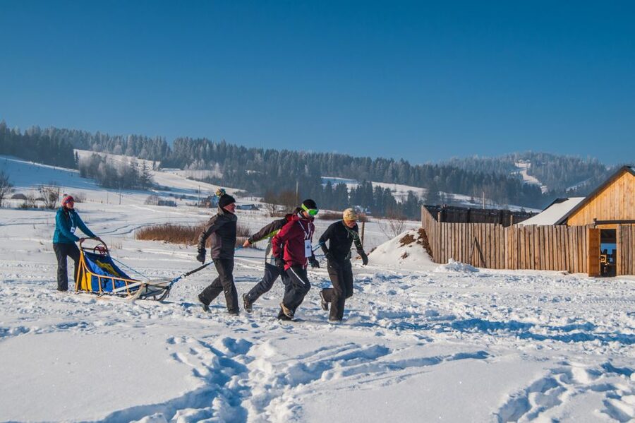 From Krakow: Dogsled Ride in Tatra Mountain - How the guides shape the day