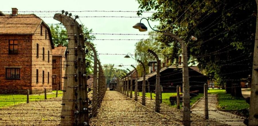 From Krakow: Guided Auschwitz-Birkenau Group Tour by Minivan - Key points to know before booking