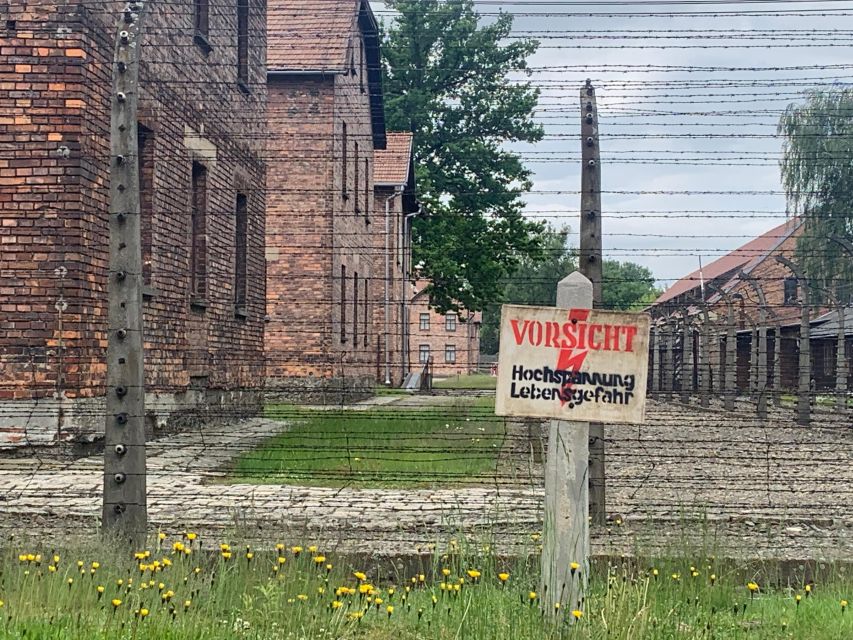 From Krakow: Guided Auschwitz-Birkenau Group Tour by Minivan - Auschwitz II-Birkenau: the scale changes everything