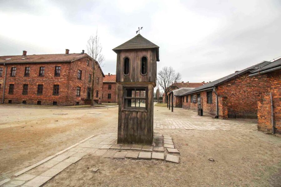 From Krakow: Guided Auschwitz-Birkenau Group Tour by Minivan - The guide and the tone of the visit