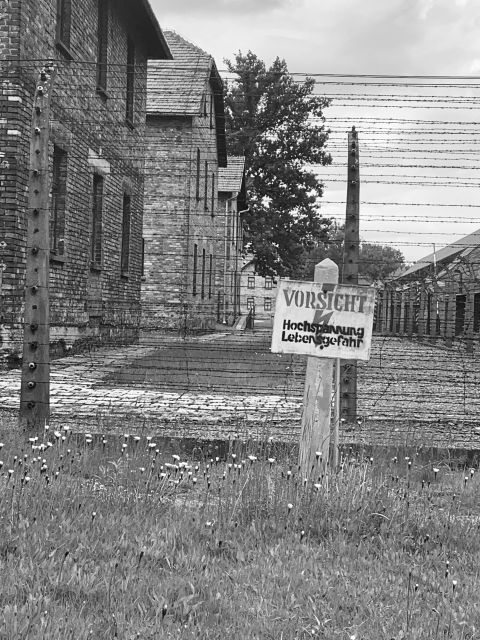 From Krakow: Guided Auschwitz-Birkenau Group Tour by Minivan - Timing, crowds, and physical demands