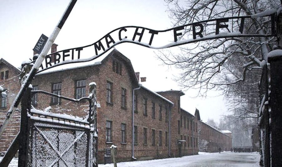 From Krakow: Guided Auschwitz-Birkenau Group Tour by Minivan - Who should book this tour?