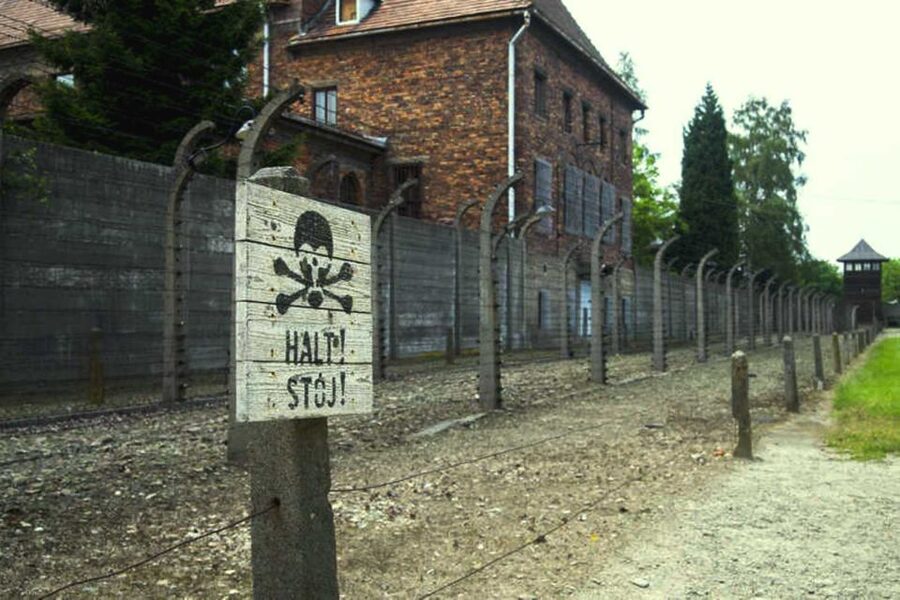 From Krakow: Guided Auschwitz-Birkenau Group Tour by Minivan - Pickup points and the minivan ride