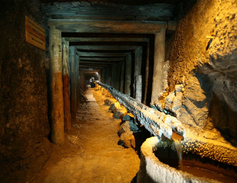 From Krakow: Guided Wieliczka Salt Mine and Chapel Tour - The 700-step descent into the mine