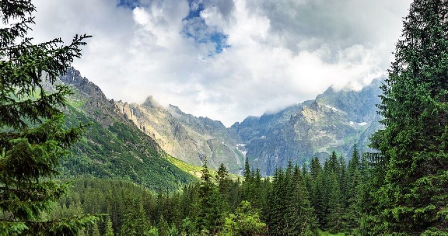 From Krakow: Morskie Oko and Slovakia Treetop Walk - Crowds, weather, and the best feel of the lake