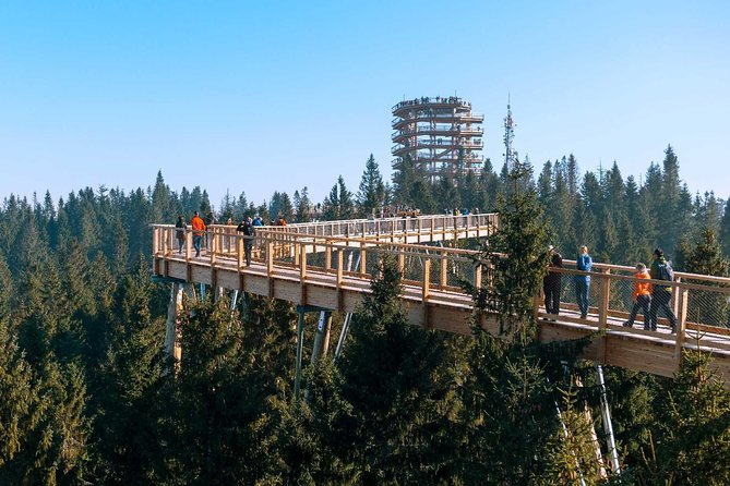 From Krakow: Morskie Oko in the Tatra Mountains and Slovakia Treetop Walk - Is $240.30 a fair price?