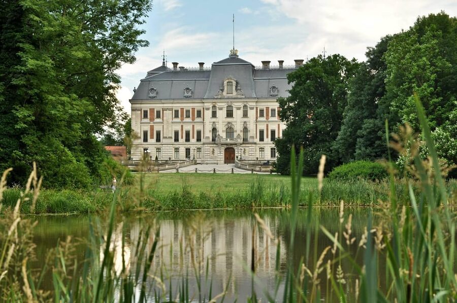 From Krakow: Pszczyna Castle and Bison Reserve Day Trip - Leaving Krakow in a Private Car