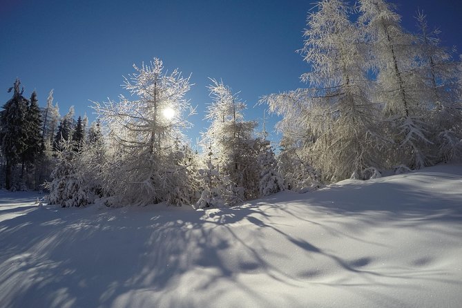From Krakow: Siepraw Skiing for Beginners - Equipment and comfort for beginners