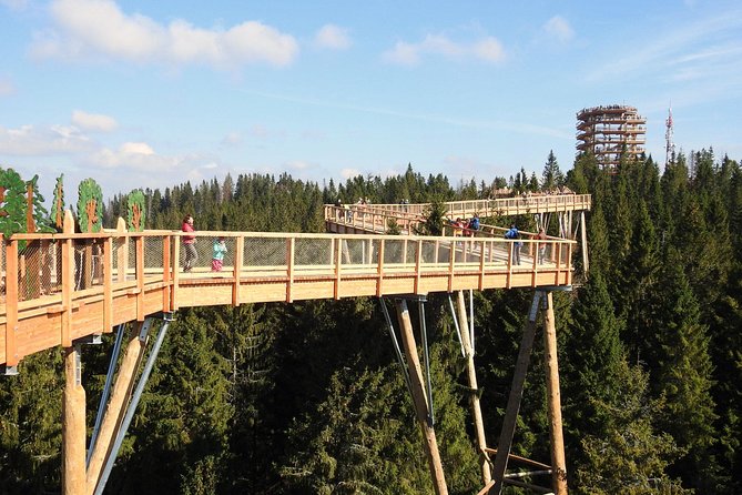 From Kraków: Slovakia Treetop Walk Bachledka and Zakopane - Why this Krakow day trip works