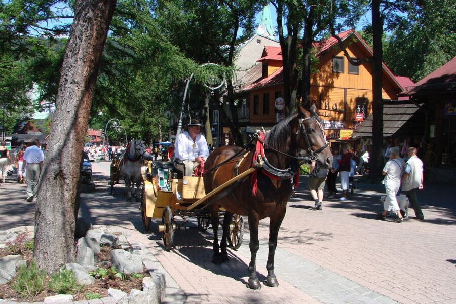 From Krakow: Slovakia Treetop Walk, Zakopane & Thermal Spa - Key points to know before booking