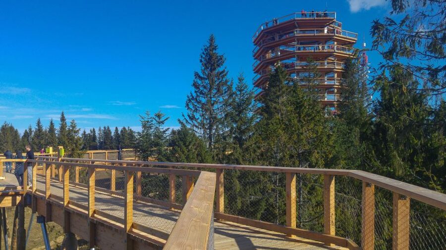 From Krakow: Slovakia Treetop Walk, Zakopane & Thermal Spa - Why this mountain day trip works